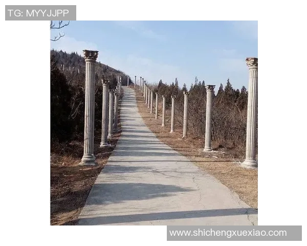 花海王者之路：探索自然与传奇交织的荣耀之旅